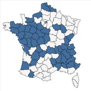 Répartition de Primula x polyantha Mill. en France