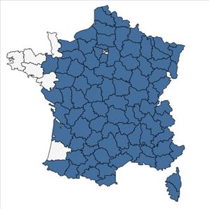 Répartition de Legousia speculum-veneris (L.) Chaix en France