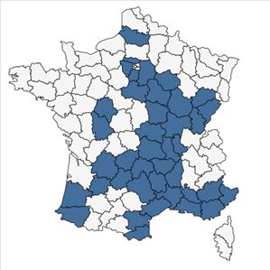 Répartition de Rosa squarrosa (Rau) Boreau en France