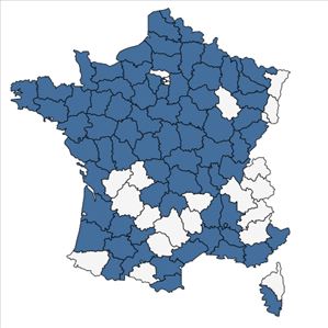 Répartition de Lemna gibba L. en France