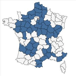 Répartition de Scleranthus annuus L. subsp. annuus en France