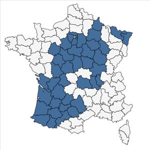 Répartition de Betonica officinalis L. subsp. officinalis en France