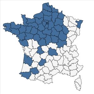 Répartition de Symphytum officinale L. subsp. officinale en France