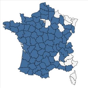 Répartition de Arrhenatherum elatius subsp. bulbosum (Willd.) Schübler & G.Martens en France