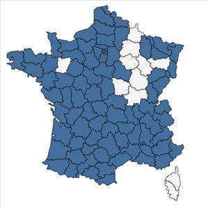 Répartition de Artemisia verlotiorum Lamotte en France