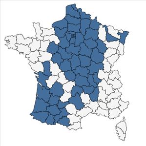 Répartition de Briza media L. subsp. media en France