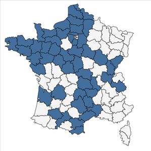 Répartition de Carduus nutans L. subsp. nutans en France