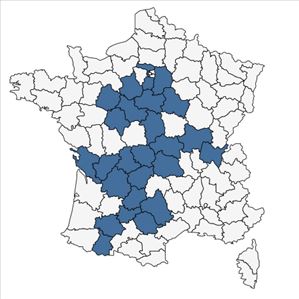 Répartition de Cymbalaria muralis G.Gaertn., B.Mey. & Scherb. f. muralis  en France