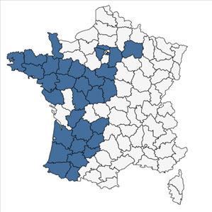 Répartition de Dactylorhiza maculata subsp. ericetorum (E.F.Linton) P.F.Hunt & Summerh. en France