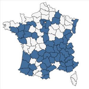 Répartition de Deschampsia cespitosa (L.) P.Beauv. subsp. cespitosa en France