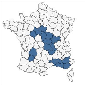 Répartition de Echinochloa muricata var. microstachya Wiegand en France