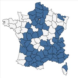 Répartition de Epipactis helleborine (L.) Crantz subsp. helleborine en France