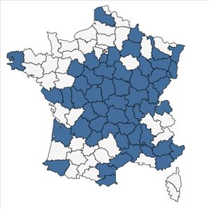 Répartition de Festuca ovina subsp. guestfalica (Boenn. ex Rchb.) K.Richt. en France