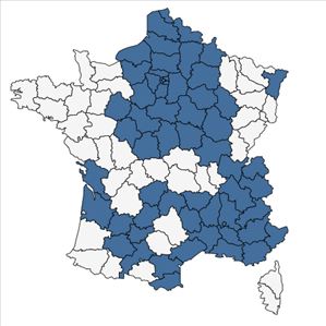 Répartition de Lolium pratense (Huds.) S.B.Darbyshire subsp. pratense en France