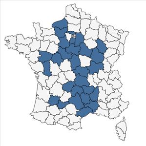 Répartition de Helianthemum x sulphureum Willd. ex Schltdl. en France