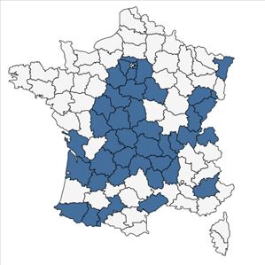 Répartition de Hypericum perforatum L. var. perforatum en France