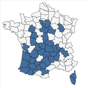 Répartition de Hypochaeris radicata L. subsp. radicata en France