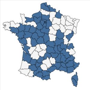 Répartition de Lepidium graminifolium L. en France