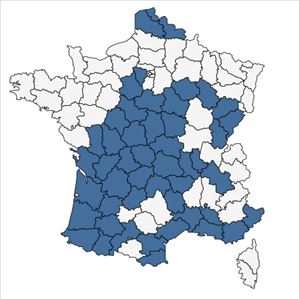 Répartition de Myosotis dubia Arrond. en France