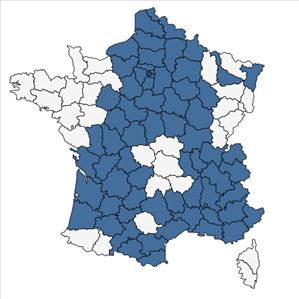 Répartition de Origanum vulgare L. subsp. vulgare en France