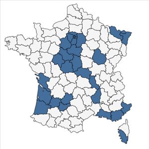 Répartition de Phragmites australis (Cav.) Trin. ex Steud. subsp. australis en France