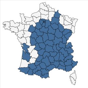 Répartition de Picris hieracioides L. subsp. hieracioides en France