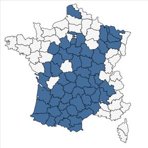 Répartition de Poa bulbosa subsp. bulbosa var. vivipara Koeler en France