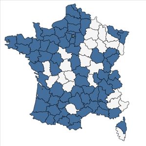 Répartition de Poa trivialis L. subsp. trivialis en France