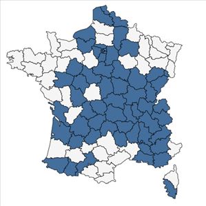 Répartition de Populus nigra L. subsp. nigra en France