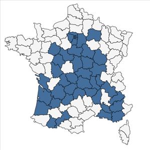 Répartition de Populus nigra subsp. nigra var. italica Du Roi en France