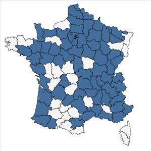 Répartition de Lepidium ruderale L. en France