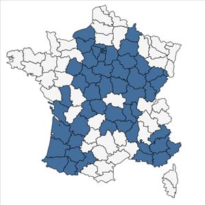 Répartition de Rumex acetosa L. subsp. acetosa en France