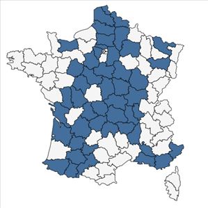 Répartition de Rumex acetosella L. subsp. acetosella en France