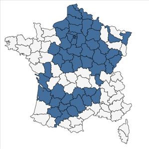 Répartition de Salvia pratensis L. subsp. pratensis en France