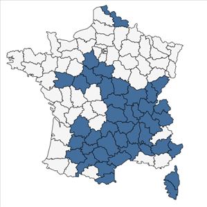 Répartition de Scrophularia canina L. subsp. canina en France