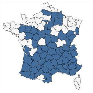 Répartition de Setaria italica subsp. pycnocoma (Steud.) de Wet en France