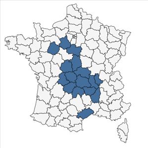 Répartition de Trifolium arvense var. gracile (Thuill.) DC. en France