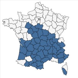 Répartition de Trifolium incarnatum var. molinerii (Balb. ex Hornem.) Ser. en France