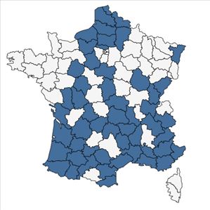 Répartition de Urtica dioica L. subsp. dioica en France