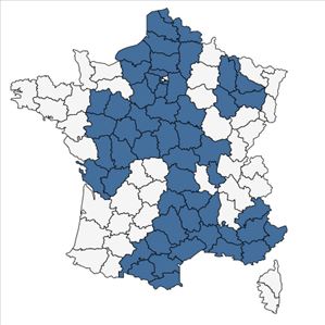 Répartition de Veronica orsiniana Ten. en France