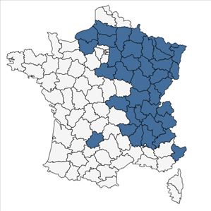 Répartition de Leucojum vernum L. en France