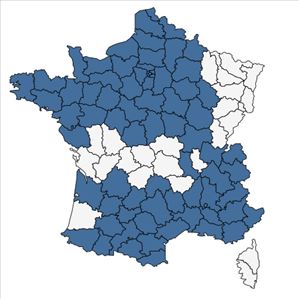 Répartition de Asplenium ruta-muraria L. subsp. ruta-muraria en France