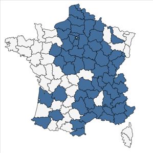 Répartition de Centaurea scabiosa L. subsp. scabiosa en France