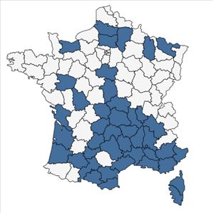 Répartition de Linaria arvensis (L.) Desf. en France