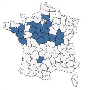 Répartition de Filago lutescens Jord. subsp. lutescens en France