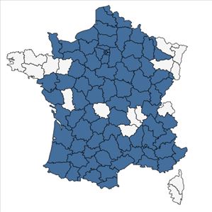 Répartition de Linaria supina (L.) Chaz. en France