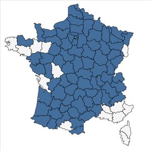 Répartition de Lamium galeobdolon subsp. montanum (Pers.) Hayek en France