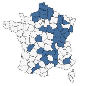 Répartition de Mentha x villosa Huds. en France