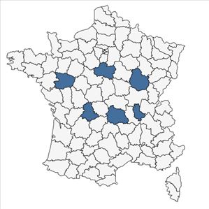 Répartition de Nepeta x faassenii Bergmans ex Stearn en France