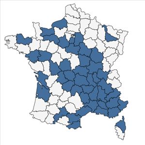 Répartition de Polygonum aviculare subsp. rurivagum (Jord. ex Boreau) Berher en France